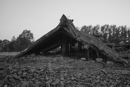 Auschwitz. Residencia de la muerte Auschwitz. Residencia de la muerte