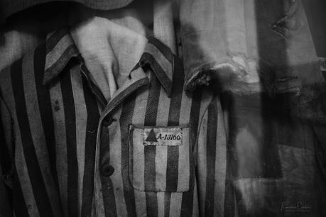 Auschwitz. Residencia de la muerte Auschwitz. Residencia de la muerte