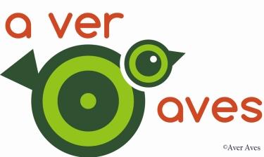 Nuevo año, nuevos parques y más aulas en ellos Nuevo año, nuevos parques y más aulas en ellos