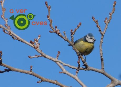 Nuevo año, nuevos parques y más aulas en ellos Nuevo año, nuevos parques y más aulas en ellos
