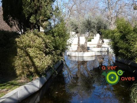 Nuevo año, nuevos parques y más aulas en ellos Nuevo año, nuevos parques y más aulas en ellos