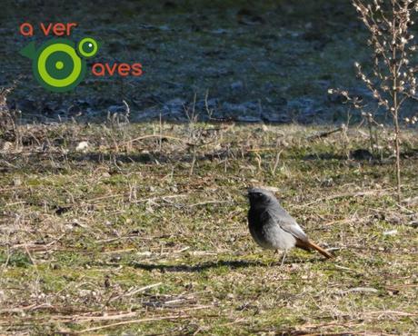 Nuevo año, nuevos parques y más aulas en ellos Nuevo año, nuevos parques y más aulas en ellos