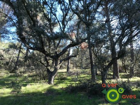 Nuevo año, nuevos parques y más aulas en ellos Nuevo año, nuevos parques y más aulas en ellos
