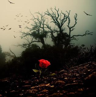 (Entrevista y Recopilación) Yo Escribo 2021 - Salvador Alba