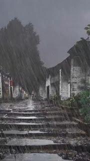 4.905 - QUE NO TE ABURRA... 4.905 - QUE NO TE ABURRA...