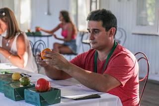 PAYSANDÚ CELEBRA LA SEGUNDA EDICIÓN DE LA CATA NACIONAL DE TOMATES Y UN TORNEO DE AJEDREZ