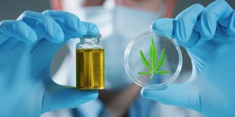 Datos que desconocías sobre el cannabis 2