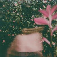 Boy Willows estrena Quick Stop By