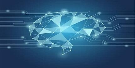 Muestras de que cerebro y redes neuronales no funcionan igual Muestras de que cerebro y redes neuronales no funcionan igual