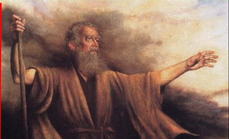 POR QUÉ LA FILOSOFÍA COMIENZA INSULTANDO