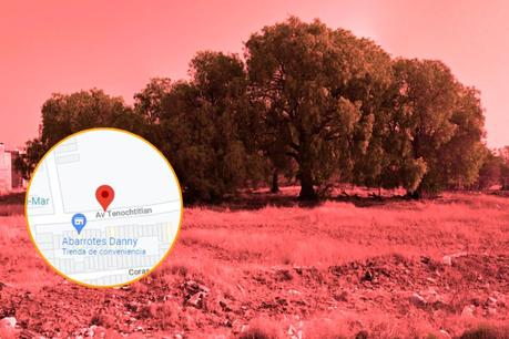 Localizan a persona sin vida en lote baldío de Soledad