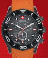Manual de Instrucciones de Relojes Swiss Military Hanowa