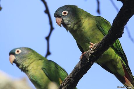 Parque Luro (abril 2021)