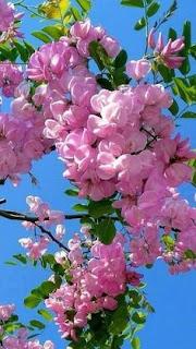 4.911 - SOPORTAN FRÍO... 4.911 - SOPORTAN FRÍO...