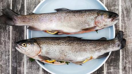 Listado de pescados con más anisakis y cómo prevenirlo Pescados con más anisakis