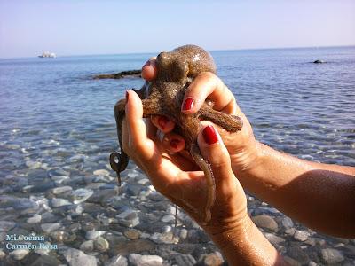 ARROZ CON PULPO Y LANGOSTINOS EN PAELLERA