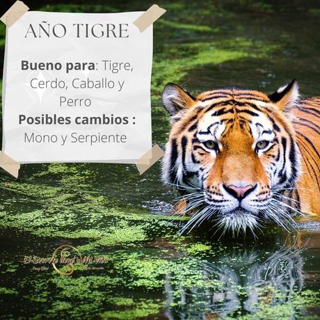 Año del Tigre a quien le va mejor?