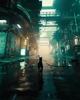 ¿A dónde vamos ahora?