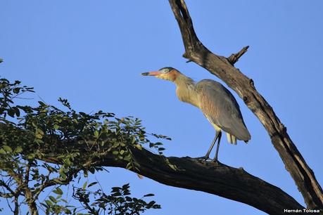 Monte (marzo de 2021)