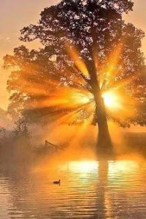 4.917 - ¿CÓMO SERÁN...?