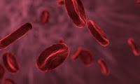 Dos proteínas de la sangre determinan nuestra longevidad