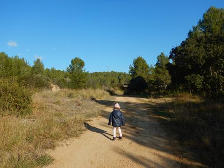 Camino al Mas del Garrot Camino al Mas del Garrot