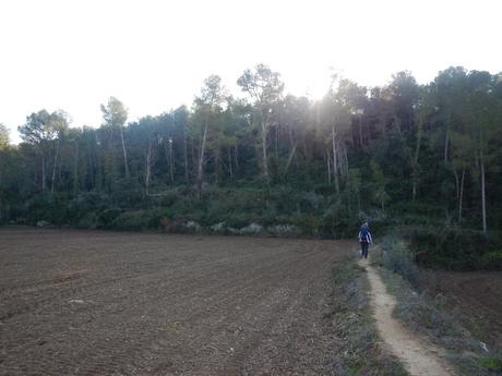 Sendero a la Font del Garrot