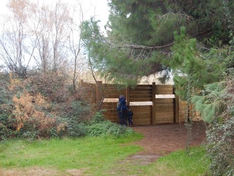 Punto de observación de aves
