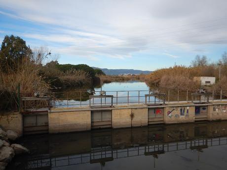 Estany de la Murtra