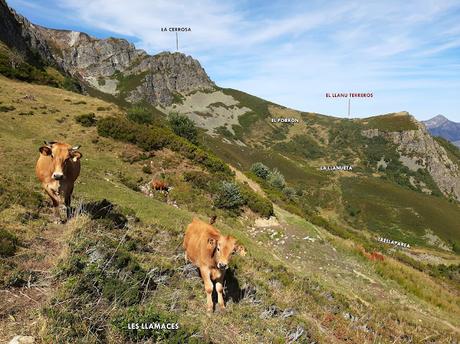 Tarna-Monéu-Remelende-Camín Real del Tarna
