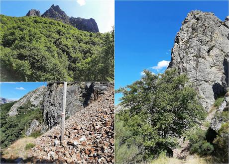 Tarna-Monéu-Remelende-Camín Real del Tarna