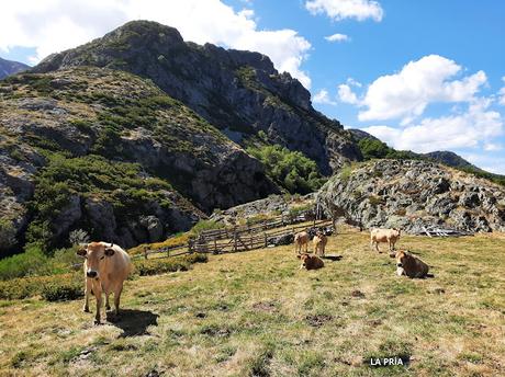 Tarna-Monéu-Remelende-Camín Real del Tarna