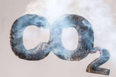 ¿Qué utilidades tendrá el token Green? ¿Qué utilidades tendrá el token Green?