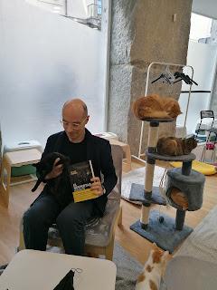 ENTREVISTA A BERNARD WERBER (POR EL DESPERTAR DE LOS GATOS)