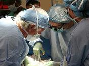 Transplantes tiempo pandemia