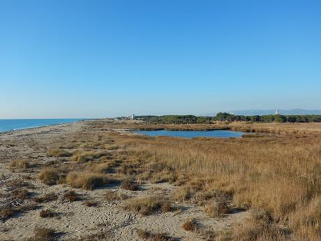 Laguna de la Magarola