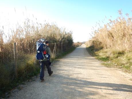 Camino hasta el mirador del Semáforo