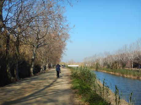 Camí de la Bunyola