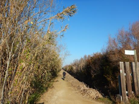 Camí de la Bunyola