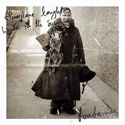 Fontaines D. C. - Winter in the sun (2018)