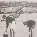 Mariscadores en la bahía