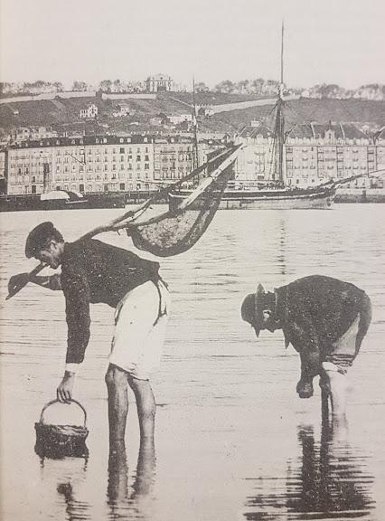 Mariscadores en la bahía