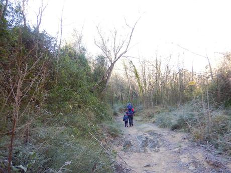 Barranc de Roquesbrunes Barranc de Roquesbrunes