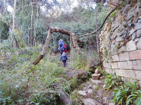 Excursión a la font de la Bessona | Maspujols (Tarragona) Excursión a la font de la Bessona | Maspujols (Tarragona)