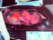 FERAT VAMPIRE Juraj Herz