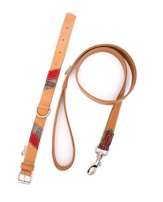 Unique Collars, una familia al servicio del bienestar y la belleza de nuestras mascotas.