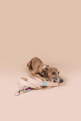 Unique Collars, una familia al servicio del bienestar y la belleza de nuestras mascotas.