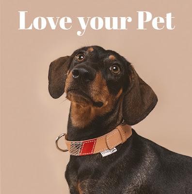 Unique Collars, una familia al servicio del bienestar y la belleza de nuestras mascotas.