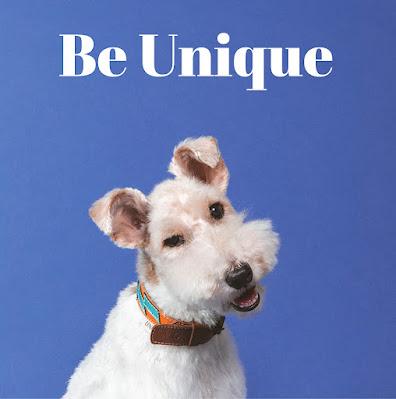 Unique Collars, una familia al servicio del bienestar y la belleza de nuestras mascotas.