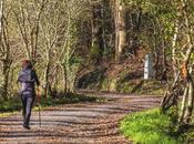 Agencia Tubuencamino expande países posibilidad realizar Camino Santiago